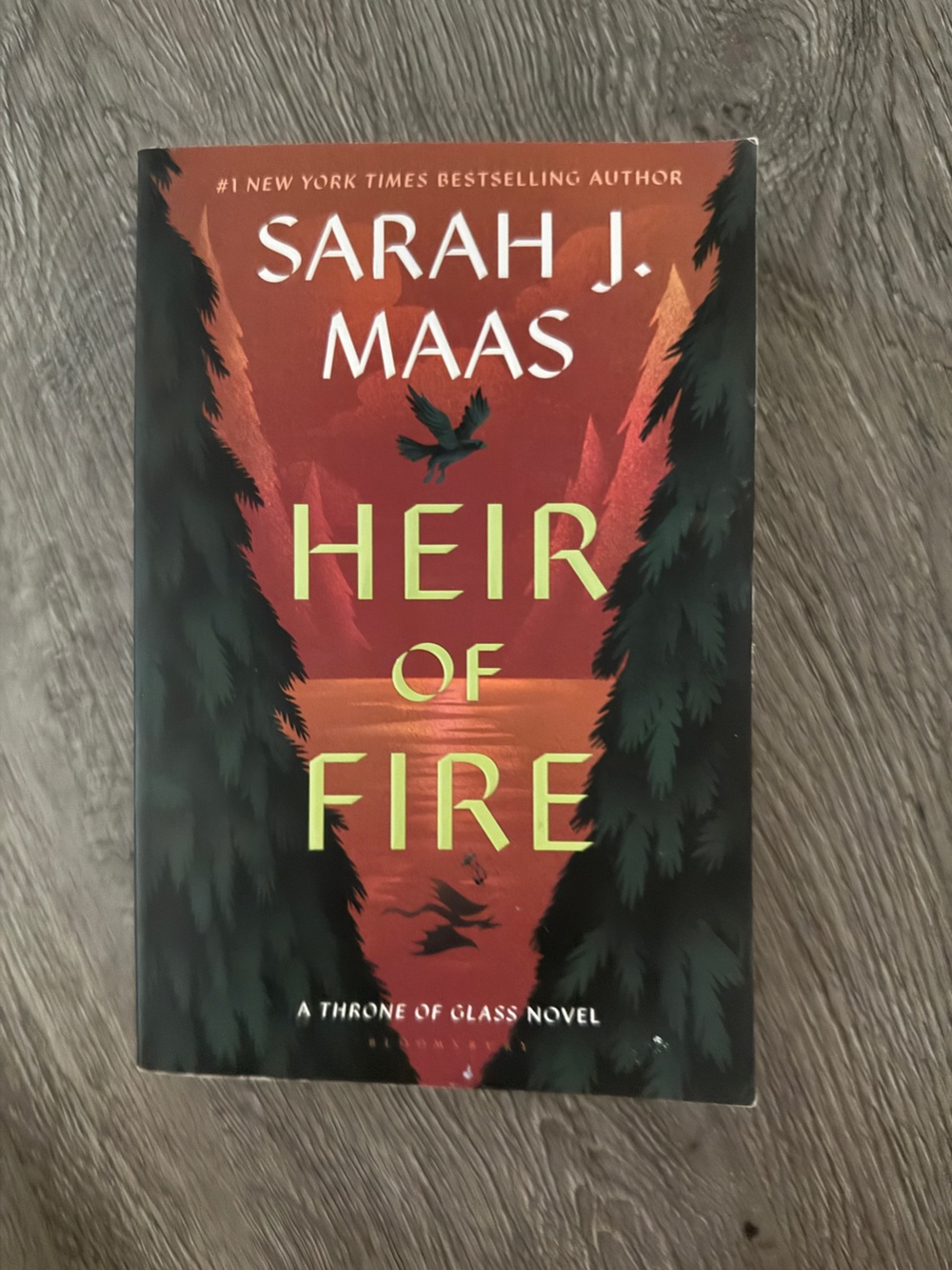 Heir of Fire Paperback Book - Red & Black Cover